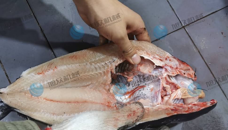 殺魚機(jī)，商用殺魚機(jī)，全自動(dòng)殺魚機(jī)，旭眾殺魚機(jī)，殺魚機(jī)哪家好