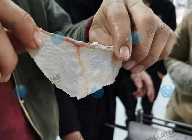 魚片機，魚片機器，片魚機，片魚片機，全自動斜切魚片機