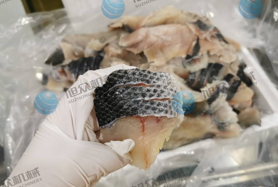 魚片機，片魚片機，全自動魚片機，商用片魚片機器，切魚片機